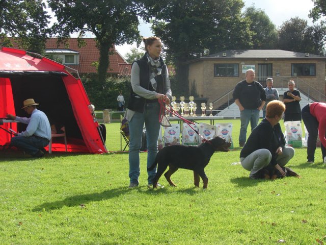 Rødding 2012 lørdag