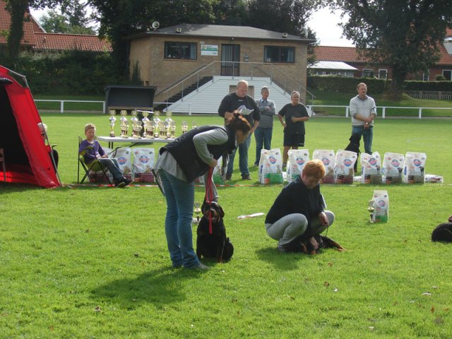 Rødding 2012 lørdag