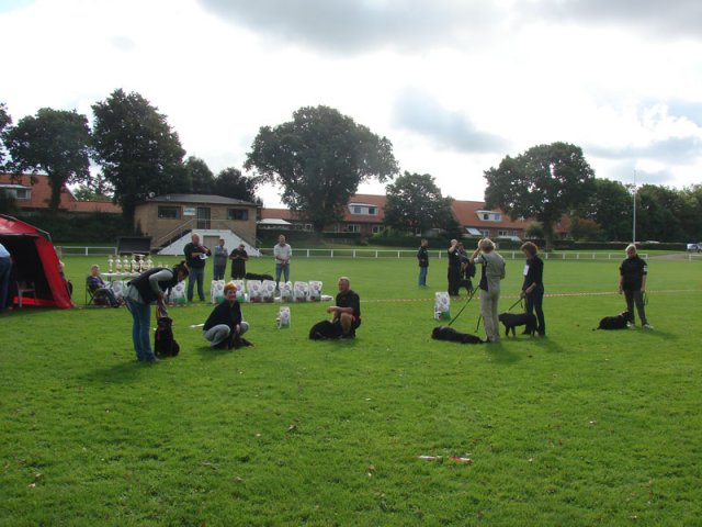 Rødding 2012 lørdag