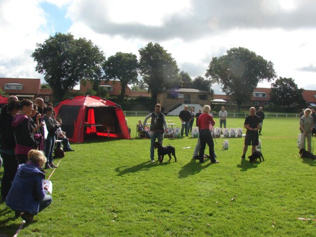 Rødding 2012 lørdag