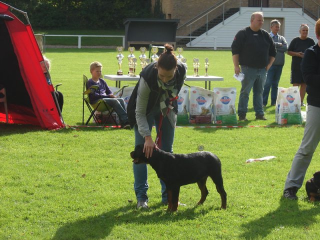 Rødding 2012 lørdag