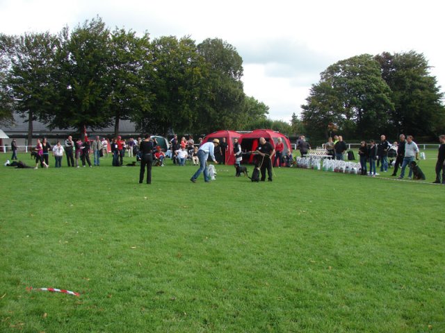 Rødding 2012 lørdag