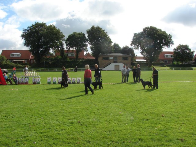 Rødding 2012 lørdag