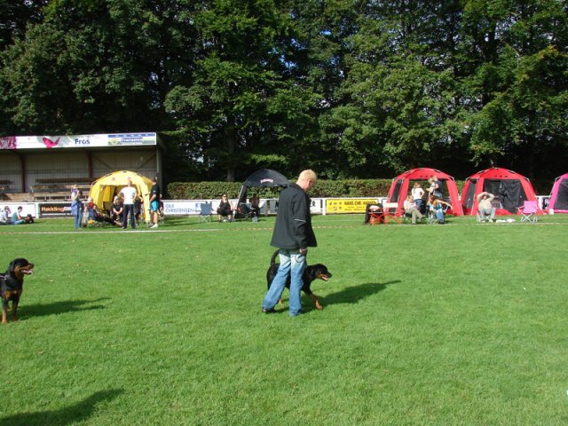 Rødding 2012 lørdag