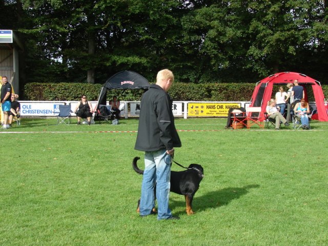 Rødding 2012 lørdag