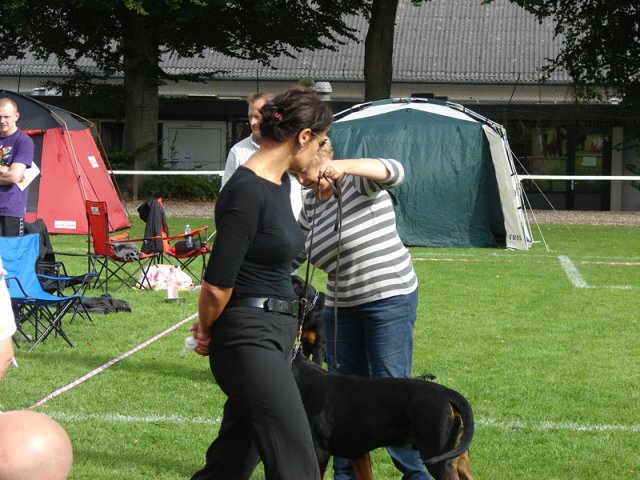 Rødding 2012 lørdag