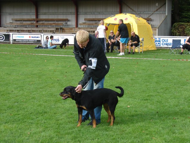 Rødding 2012 lørdag