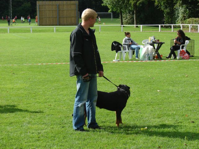 Rødding 2012 lørdag