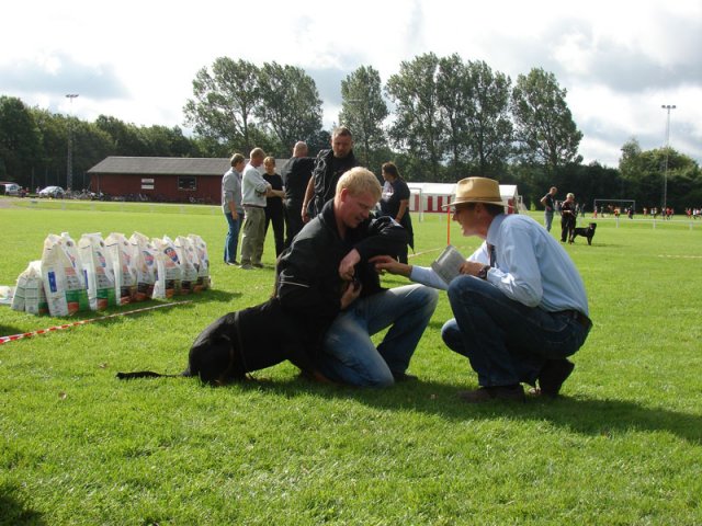 Rødding 2012 lørdag