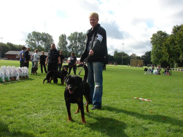 Rødding 2012 lørdag