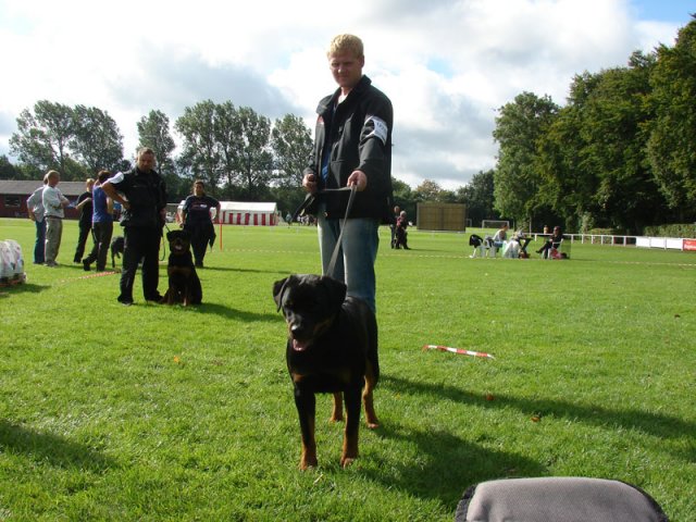 Rødding 2012 lørdag