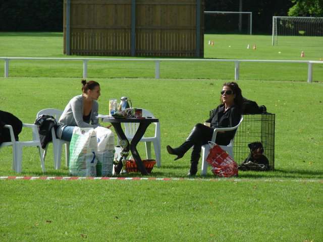Rødding 2012 lørdag