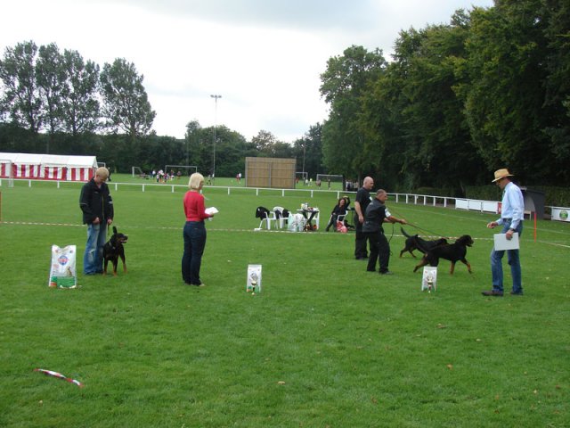 Rødding 2012 lørdag