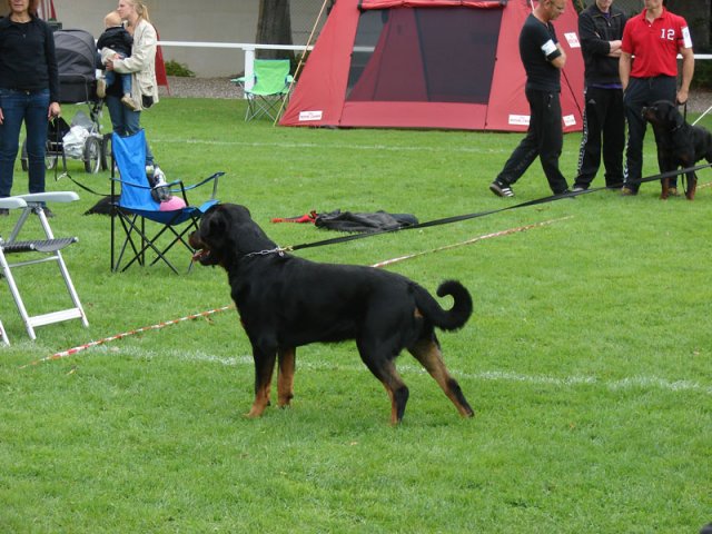 Rødding 2012 lørdag