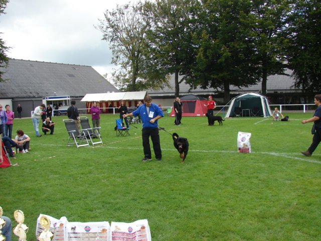 Rødding 2012 lørdag