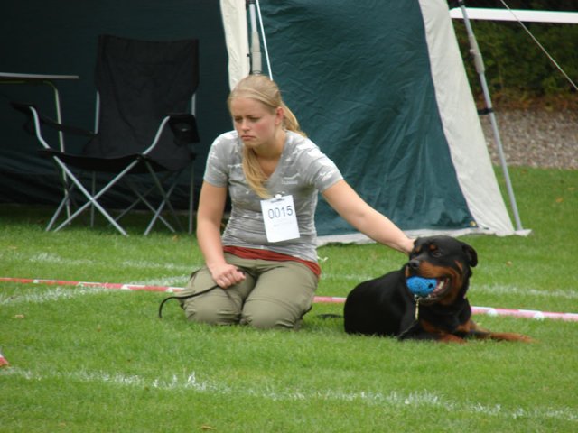 Rødding 2012 lørdag