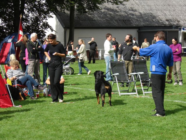 Rødding 2012 lørdag