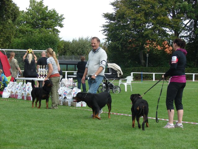 Rødding 2012 lørdag