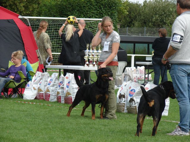 Rødding 2012 lørdag