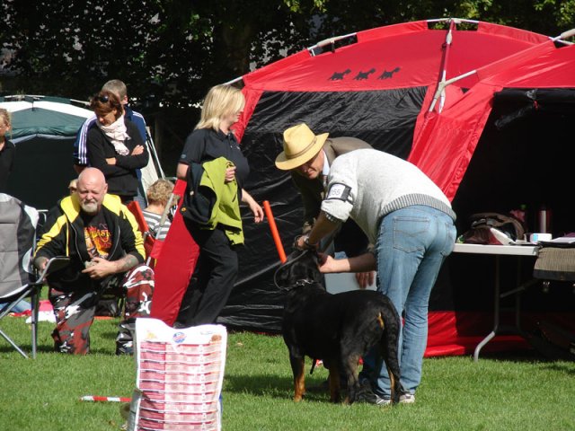 Rødding 2012 lørdag