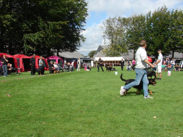 Rødding 2012 lørdag