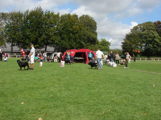 Rødding 2012 lørdag