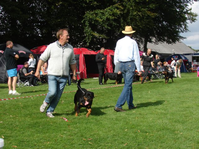 Rødding 2012 lørdag