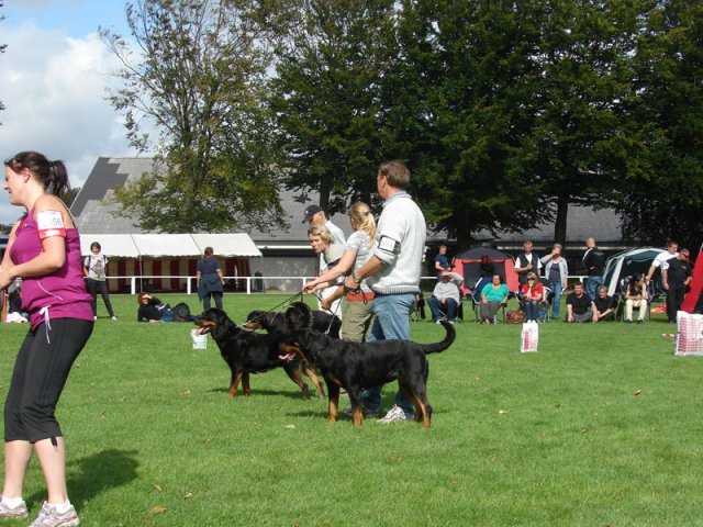 Rødding 2012 lørdag
