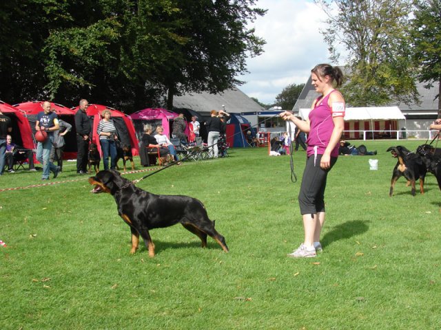 Rødding 2012 lørdag