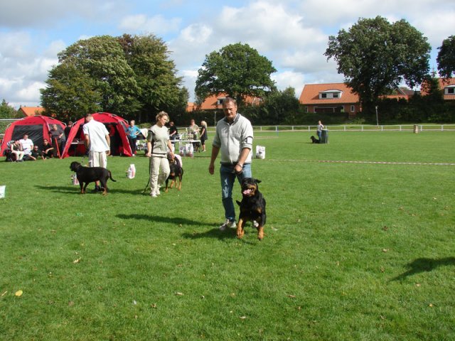 Rødding 2012 lørdag