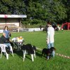 Rødding 2012 lørdag