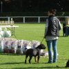 Rødding 2012 lørdag