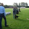 Rødding 2012 lørdag