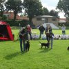 Rødding 2012 lørdag