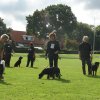 Rødding 2012 lørdag