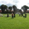Rødding 2012 lørdag