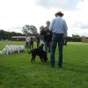 Rødding 2012 lørdag
