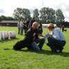 Rødding 2012 lørdag
