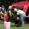 Rødding 2012 lørdag