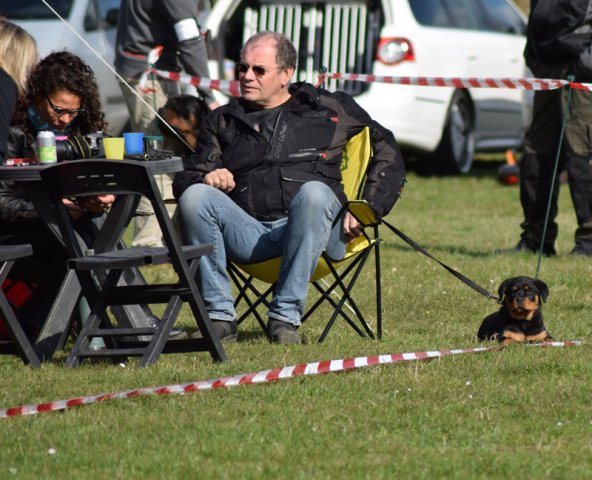 Fyn 090416