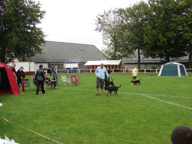 Rødding 2012 søndag
