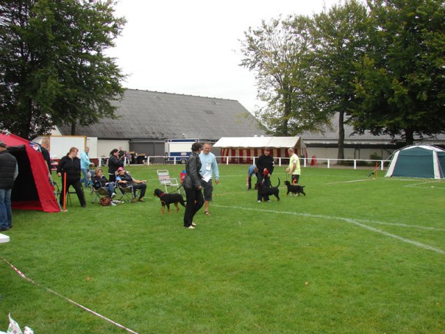 Rødding 2012 søndag