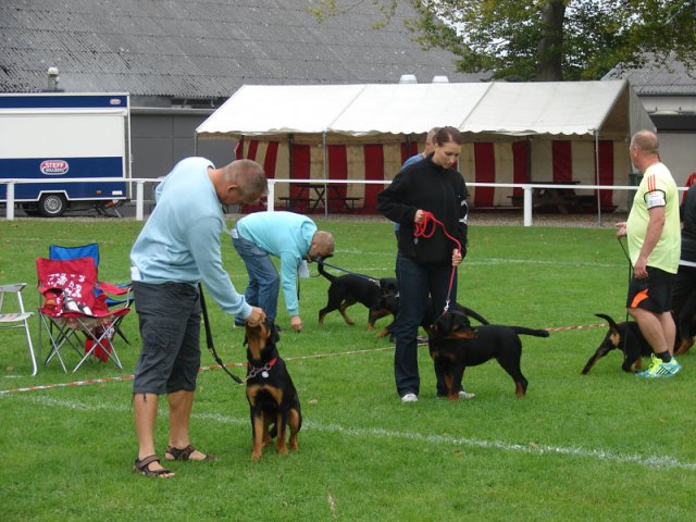 Rødding 2012 søndag