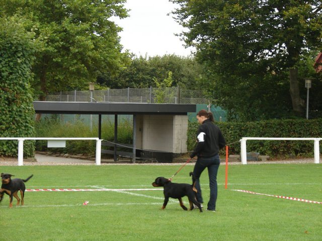 Rødding 2012 søndag