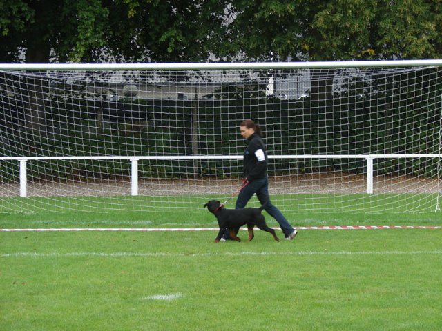 Rødding 2012 søndag