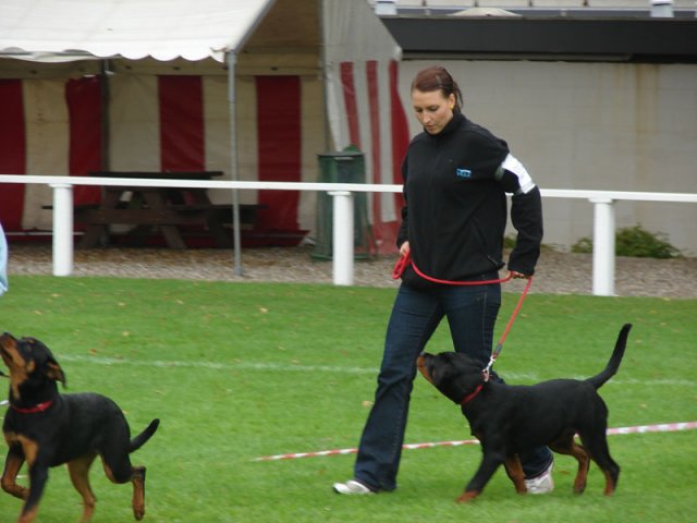 Rødding 2012 søndag