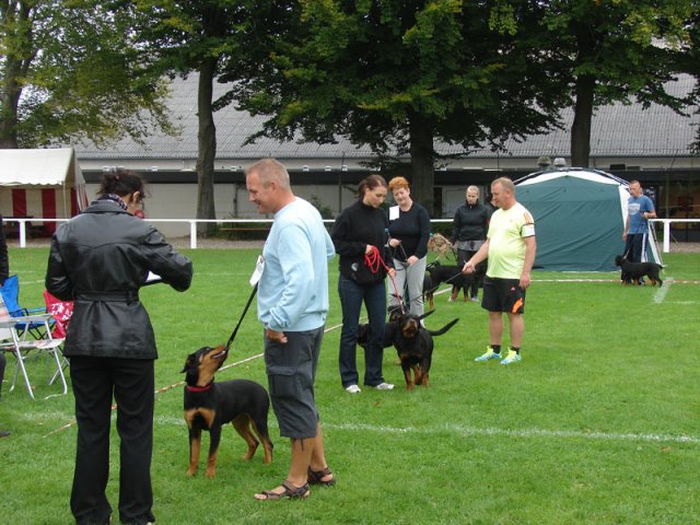 Rødding 2012 søndag