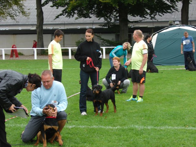 Rødding 2012 søndag