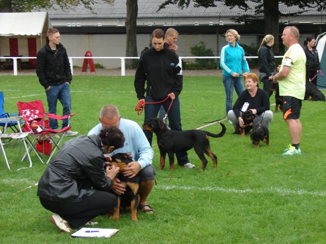 Rødding 2012 søndag
