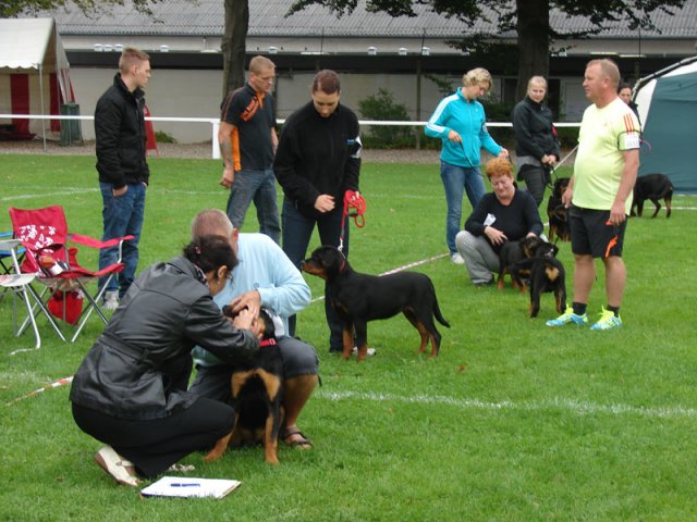 Rødding 2012 søndag